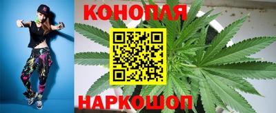 прущие грибы Кинель
