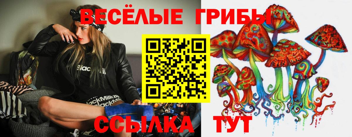 Галлюциногенные грибы Cubensis  Вход с VPN  Кузнецк 